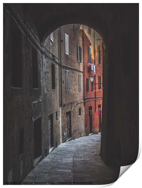 Old Alley in Siena, Via del Luparello Print by Dietmar Rauscher