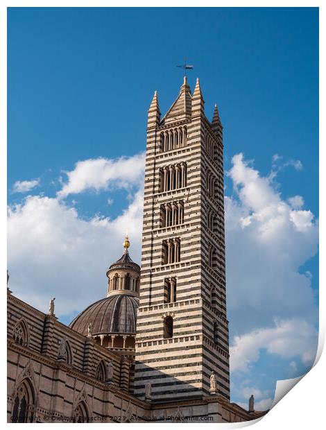 Siena Cathedral Campanile Bell Tower Print by Dietmar Rauscher