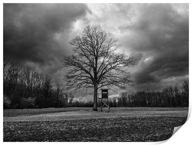 Bare Tree and Perch in Winter Landscape Monochrome Print by Dietmar Rauscher