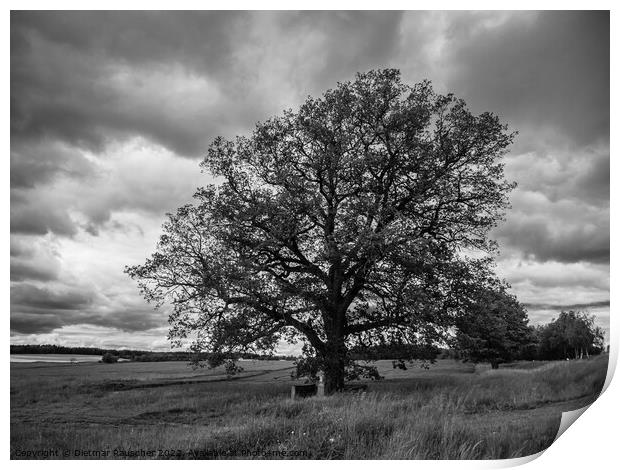 Oak Tree, Wayside Cross and Landscape in Bohemia Print by Dietmar Rauscher