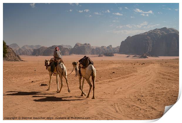 Bedouin Riding a Dromedary Camel in Wadi Rum Print by Dietmar Rauscher
