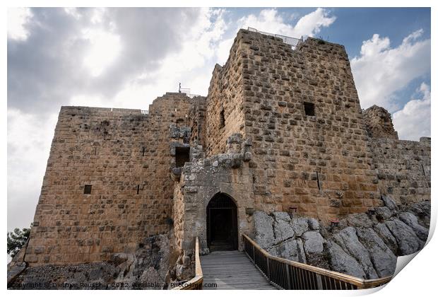 Aljoun Castle in Jordan Print by Dietmar Rauscher