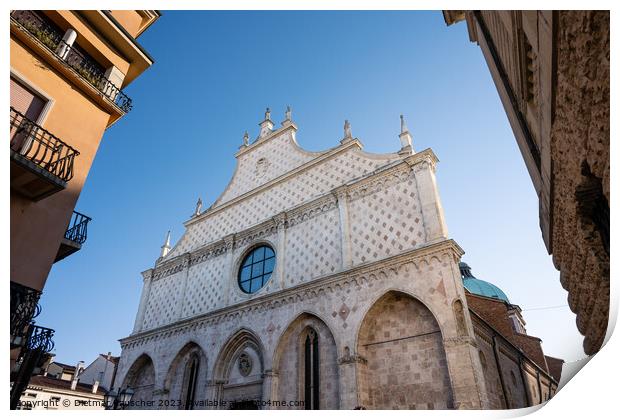 Vicenza Cathedral Gothic Facade, the Duomo di Vicenza in Veneto, Print by Dietmar Rauscher