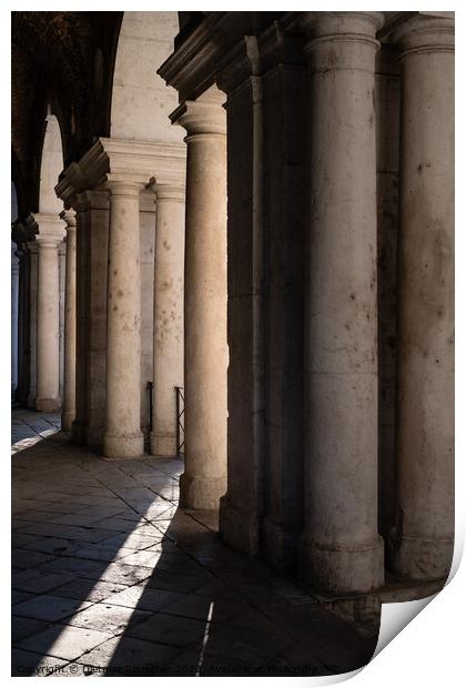 Columns of the Loggia of the Basilica Palladiana in Vicenza  Print by Dietmar Rauscher