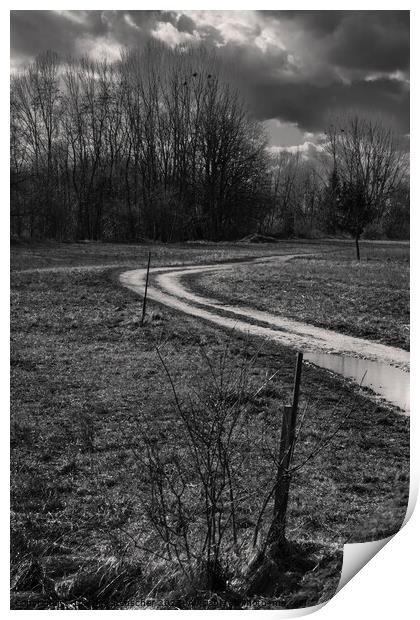 Landscape with Dirt Track in Winter in the Mostviertel, Austria Print by Dietmar Rauscher