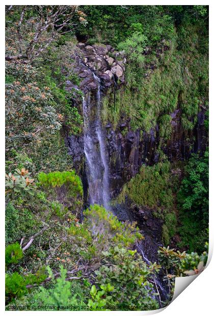 Alexandra Falls Waterfall in Mauritius Print by Dietmar Rauscher