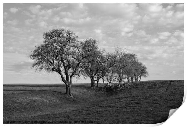 Spring Landscape  in the Mostviertel Region of Lower Austria Print by Dietmar Rauscher