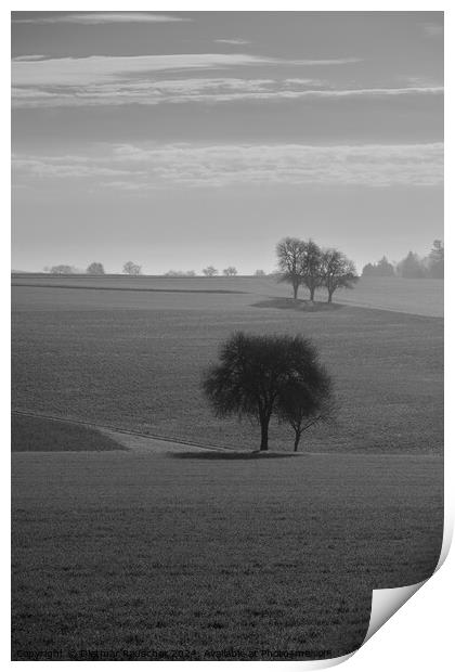 Spring Landscape in the Mostviertel of Lower Austria Print by Dietmar Rauscher