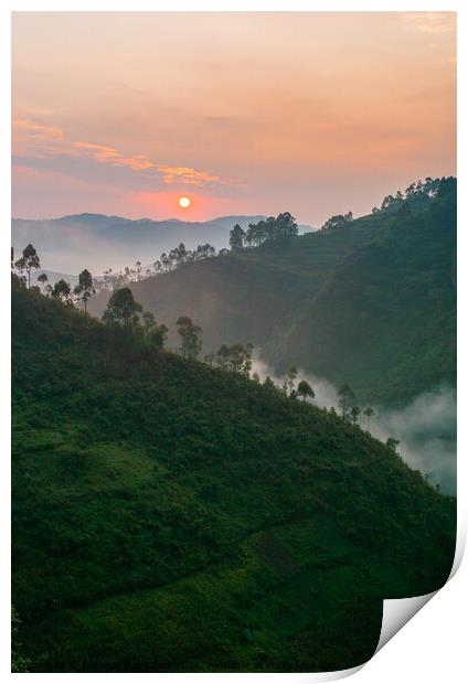 Sunrise in Bwindi Impenetrable Forest, Uganda Print by Dietmar Rauscher