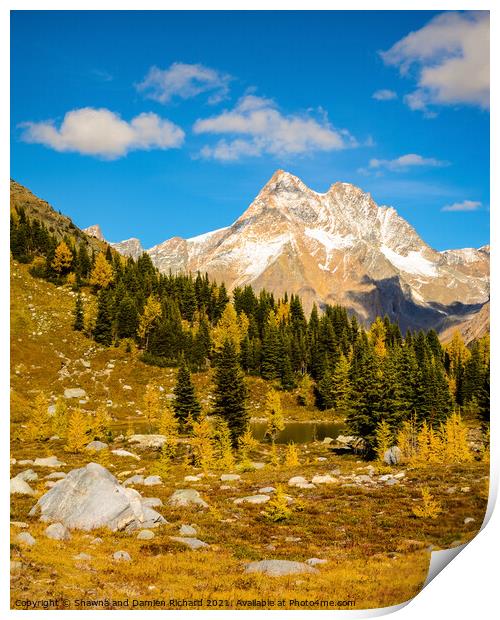Fall Larch Mountain Landscape Print by Shawna and Damien Richard