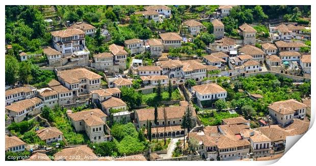 The albanian ancient city of Berat Print by Paulina Sator