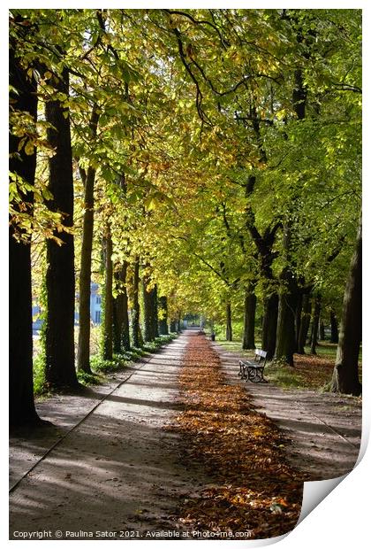 Walking through the Avenue of chestnuts  Print by Paulina Sator