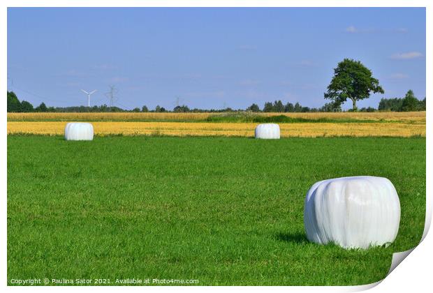 Wrapped hay bales stacked Print by Paulina Sator