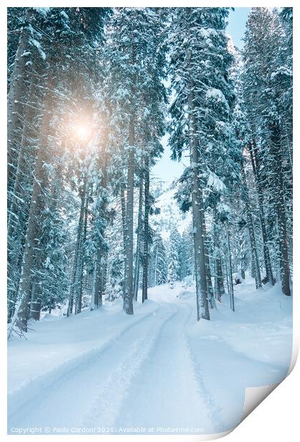 Snowy forest and sun Print by Paolo Cordoni