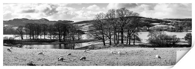 Esthwaite Water black and white Lake District Print by Sonny Ryse