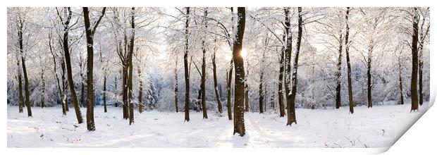 Fewston Woodland covered in Snow England Print by Sonny Ryse