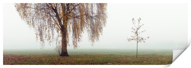 Willow tree on a misty autumn day Print by Sonny Ryse