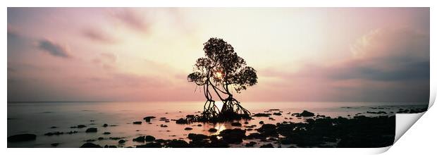 Havelock Island Mangrove Sunrise Andamans Print by Sonny Ryse