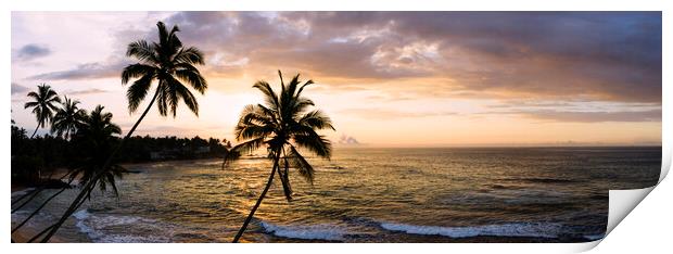 Sri Lanka beach and palm trees sunset Print by Sonny Ryse