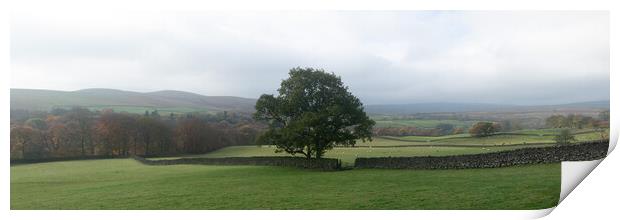 Wharfedale Fields Autumn Yorkshire Dales.jpg Print by Sonny Ryse