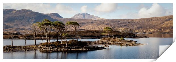 Loch Assynt highlands scotland Print by Sonny Ryse
