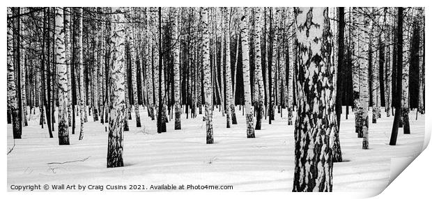 Russian Winter Birch Forest Print by Wall Art by Craig Cusins