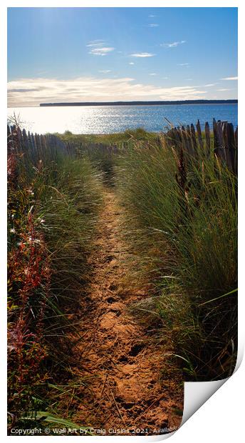 The Path to The Beach Print by Wall Art by Craig Cusins