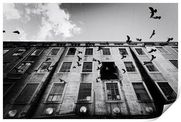 Birds over a LX Factory - Lisbon - Portugal Print by Joao Carlos E. Filho