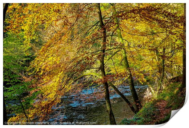 Autumn leaves Print by kenneth Dougherty