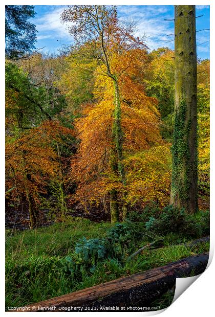 Autumn trees Print by kenneth Dougherty
