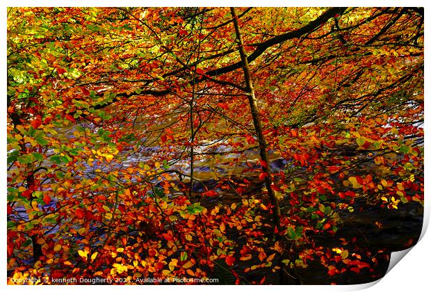 Autumn leaves Print by kenneth Dougherty