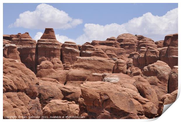 Fiery Furnace Close Up, Arches National Park Print by Sam Robinson