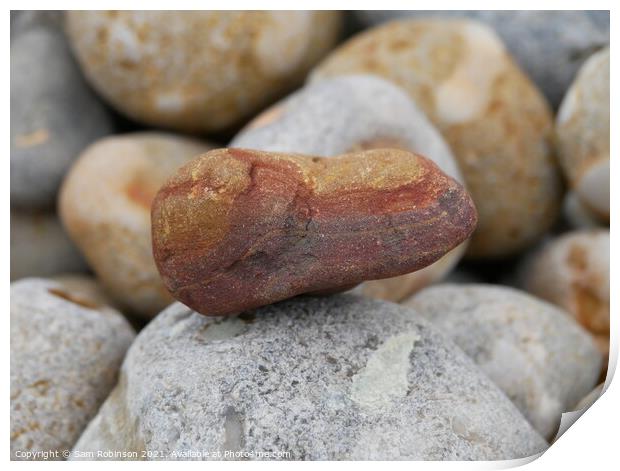 Multicoloured Beach Pebble Print by Sam Robinson