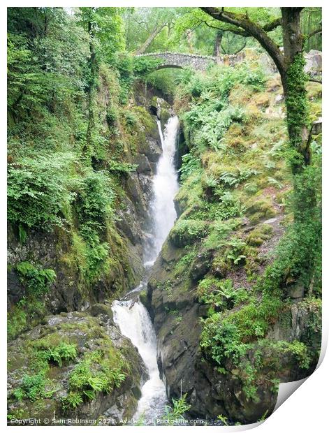 Aira Force Waterfall, UIlswater, Lake District Print by Sam Robinson