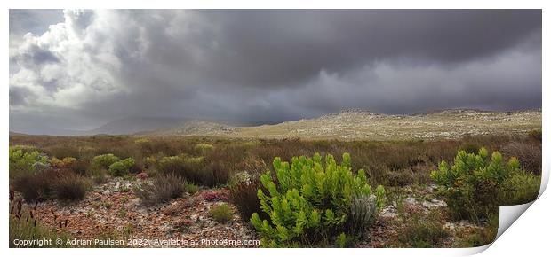 Rugged Cape Point  Print by Adrian Paulsen