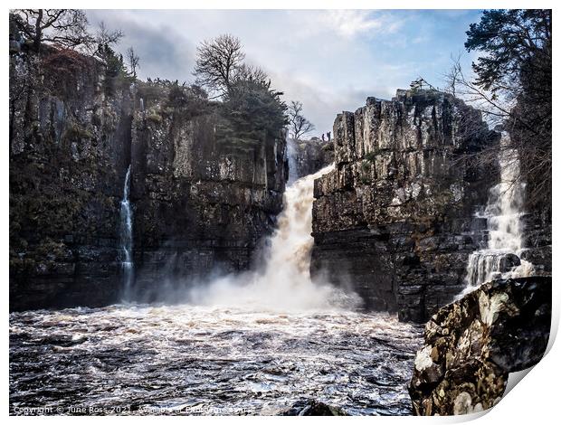 High Force Waterfall, Upper Teesdale Print by June Ross