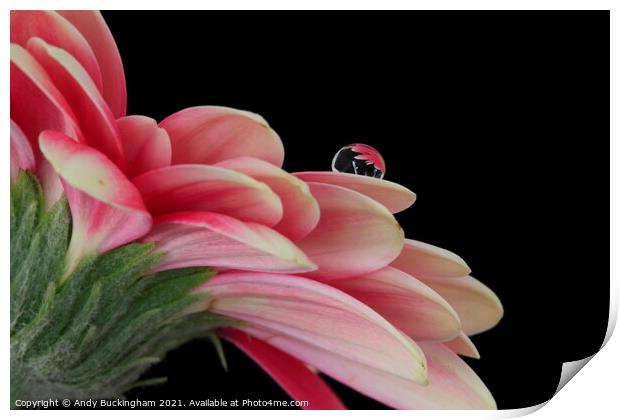 Water droplet Print by Andy Buckingham