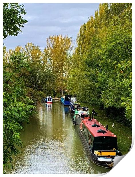 Canal Boats Print by Andy Buckingham