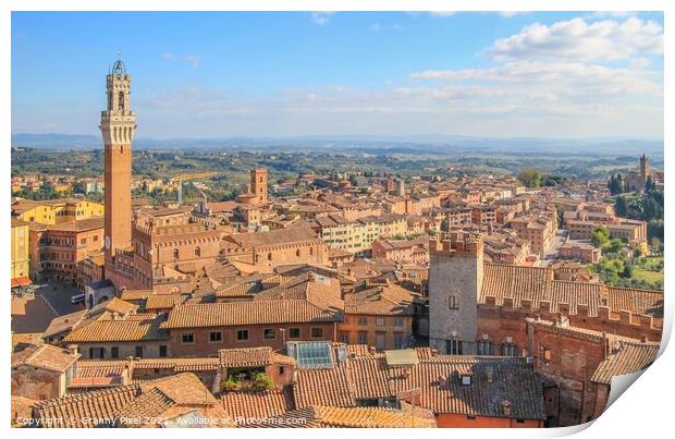Rooftops of Siena Print by Margaret Ryan