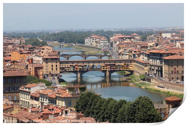Majestic Ponte Vecchio in Florence Print by Antony Robinson