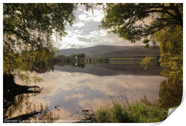 Loch Alvie Print by Antony Robinson
