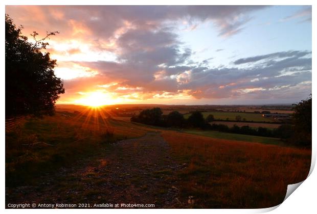 Sunset on the Somerset Levels Print by Antony Robinson
