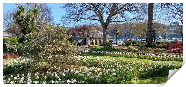 Dartmouth in bloom  Print by Les Schofield