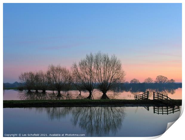 Tree reflection over body of water  Print by Les Schofield