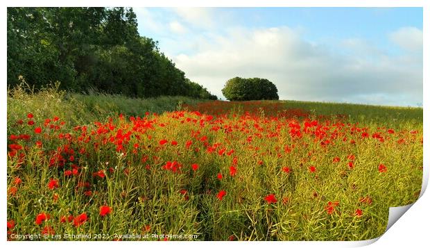 Outdoor field Print by Les Schofield