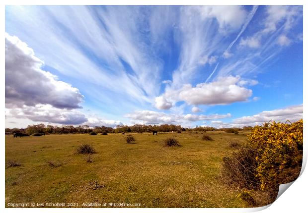 New Forest  sky Print by Les Schofield