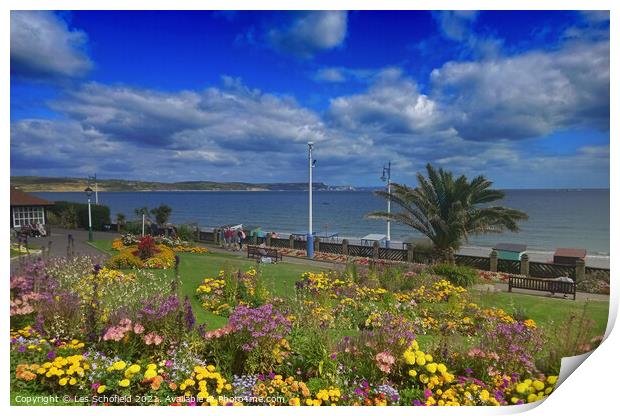 A Floral Haven Overlooking Weymouth Bay Print by Les Schofield