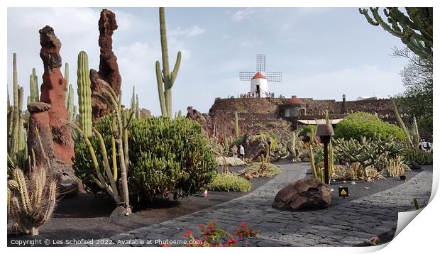 Catus garden in Lanzarote gran canaries  Print by Les Schofield