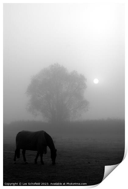 Misty Morning Equine Serenity Print by Les Schofield