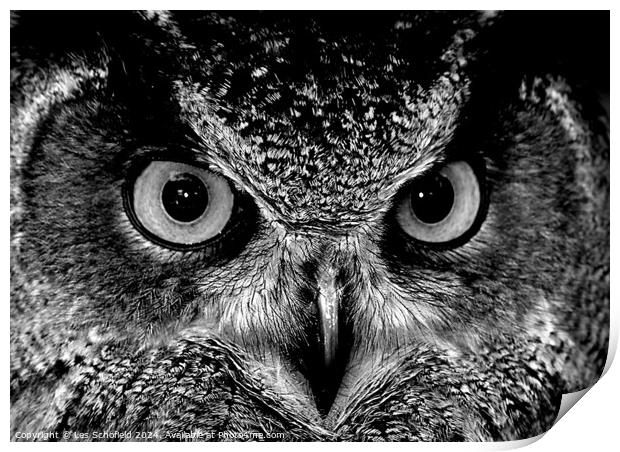 Owl eyes Print by Les Schofield